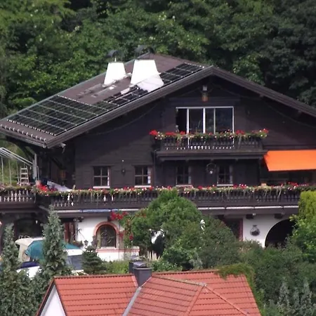 Weiser Hirsch Im Burgblick * Weilrod