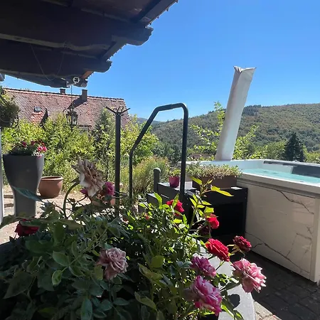 Weiser Hirsch Im Burgblick דירה *