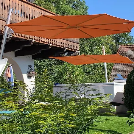 Weiser Hirsch Im Burgblick *